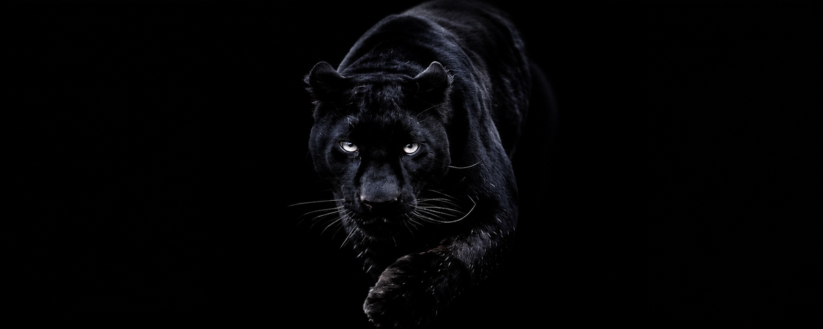 slider image 1621243260e1af0c20-1